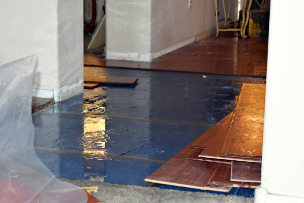 Professional Basement Flood Cleanup technician working in Athens, NY